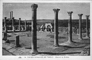 TIMGAD RUINES ROMAINES